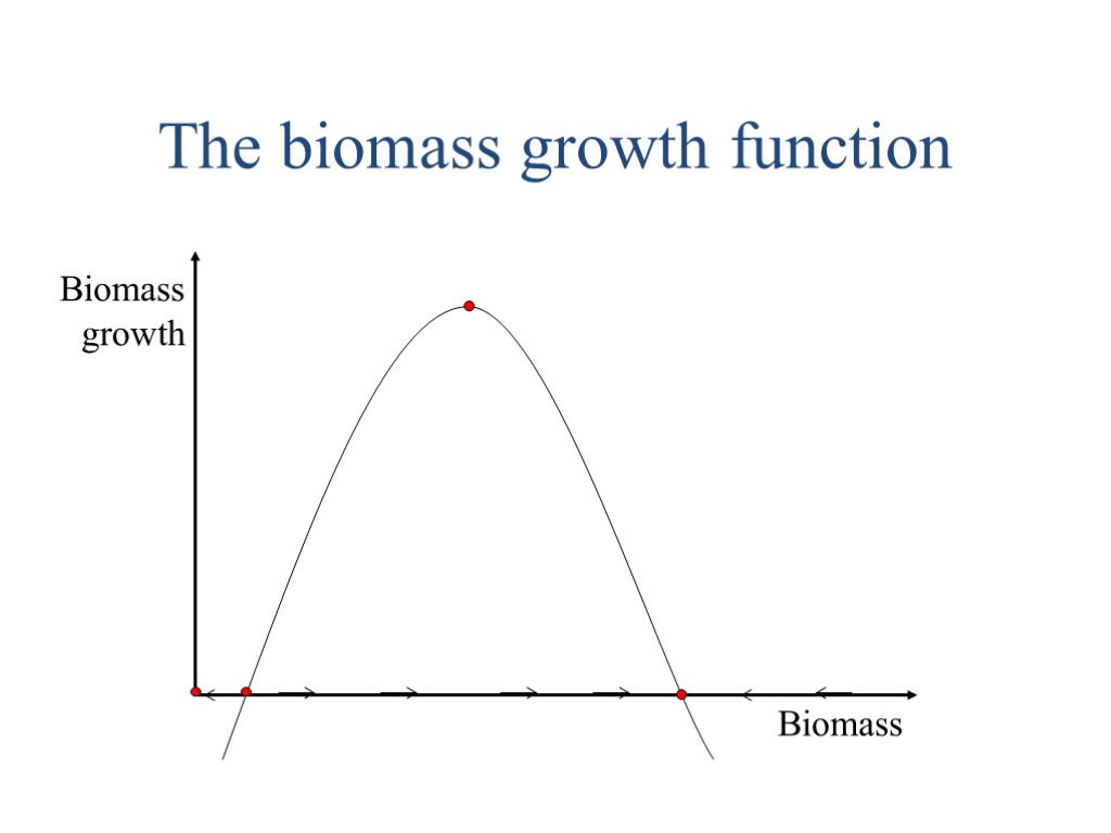 The biomass growth function Biomass Biomass growth
